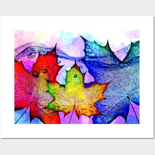 Fall Maple Leaves Posters and Art